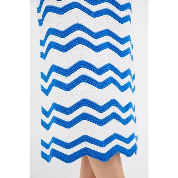 HYACINTH HOUSE Blue & White Zig-Zag Stripe Mykonos Knit Maxi Dress Size XS NWT - Picture 6 of 8